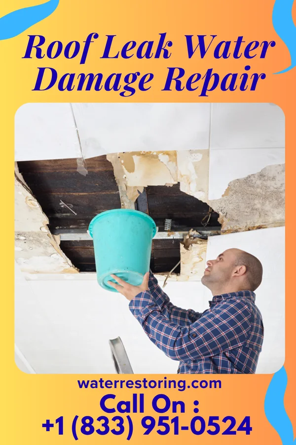 Roof Leak Water Damage Repair in Hughesville, MO