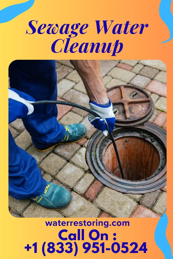 Sewage Water Cleanup in Hughesville, MO